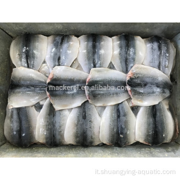 Flap di pesce mackerel cinese IQF Frozen